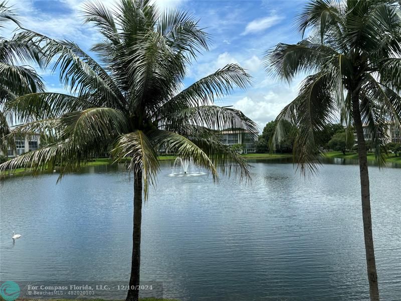 a view of swimming pool and lake from a outdoor space