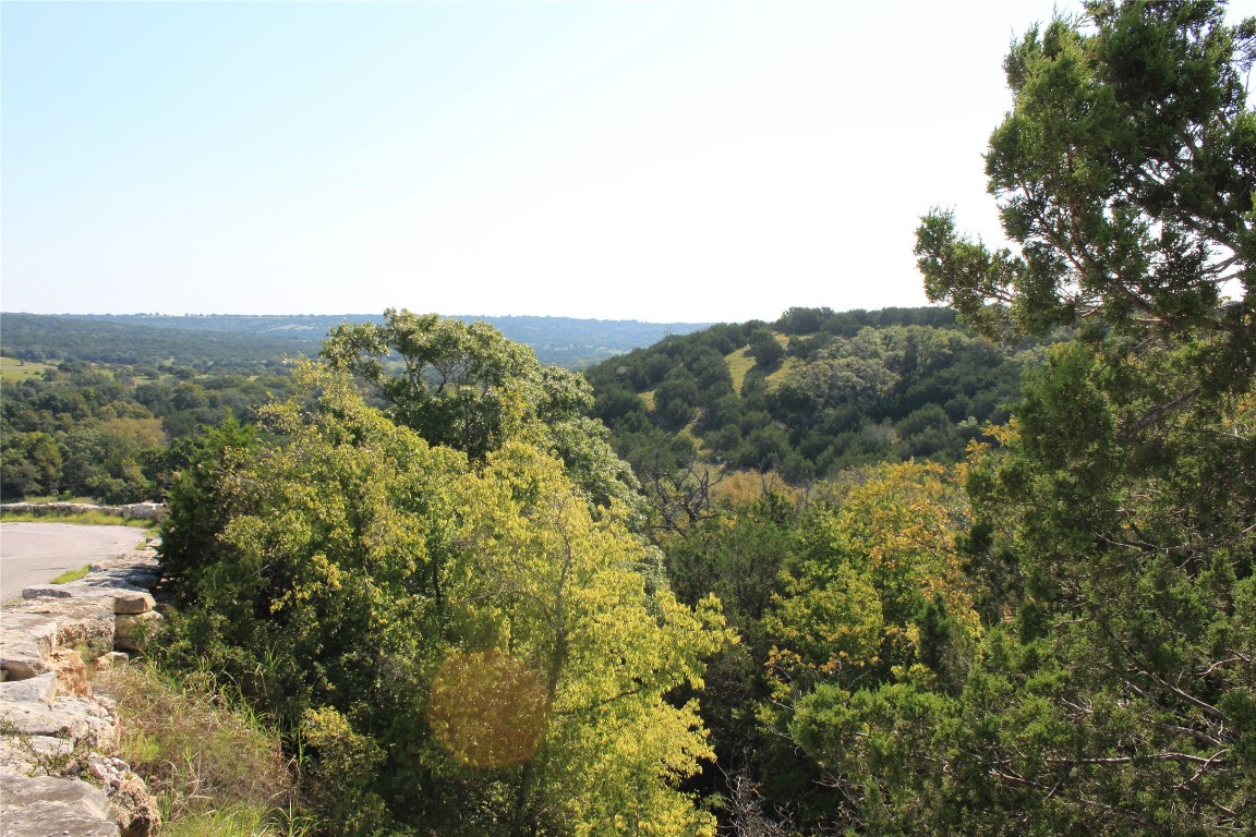 a view of a city with lush green forest