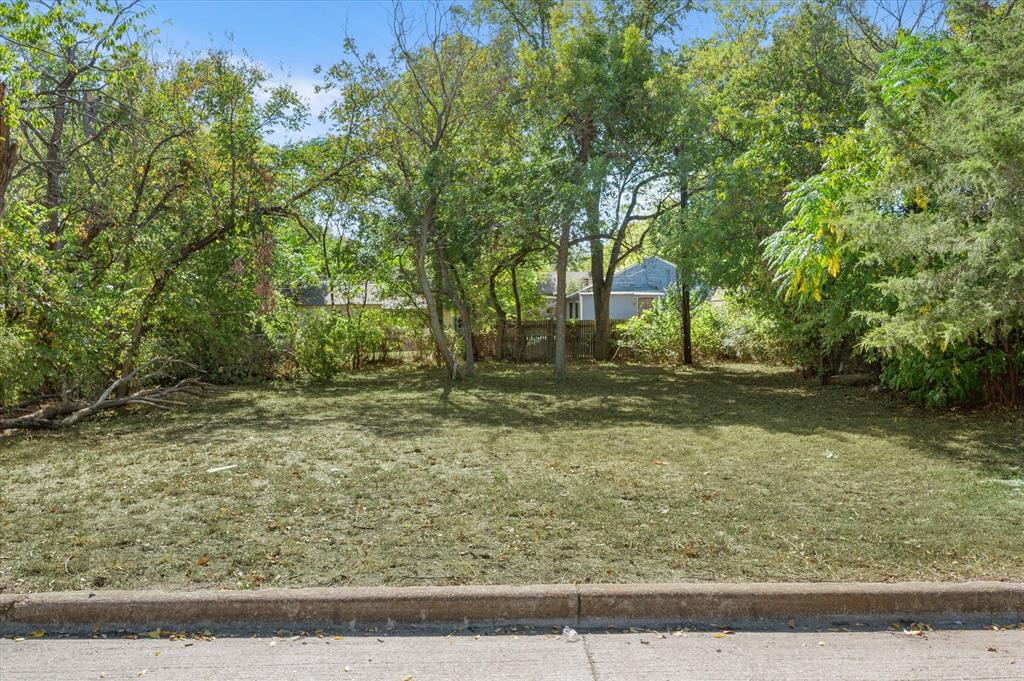 a view of backyard with green space