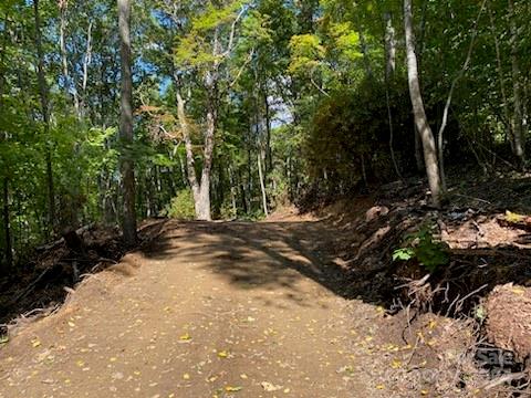 a view of a road with trees