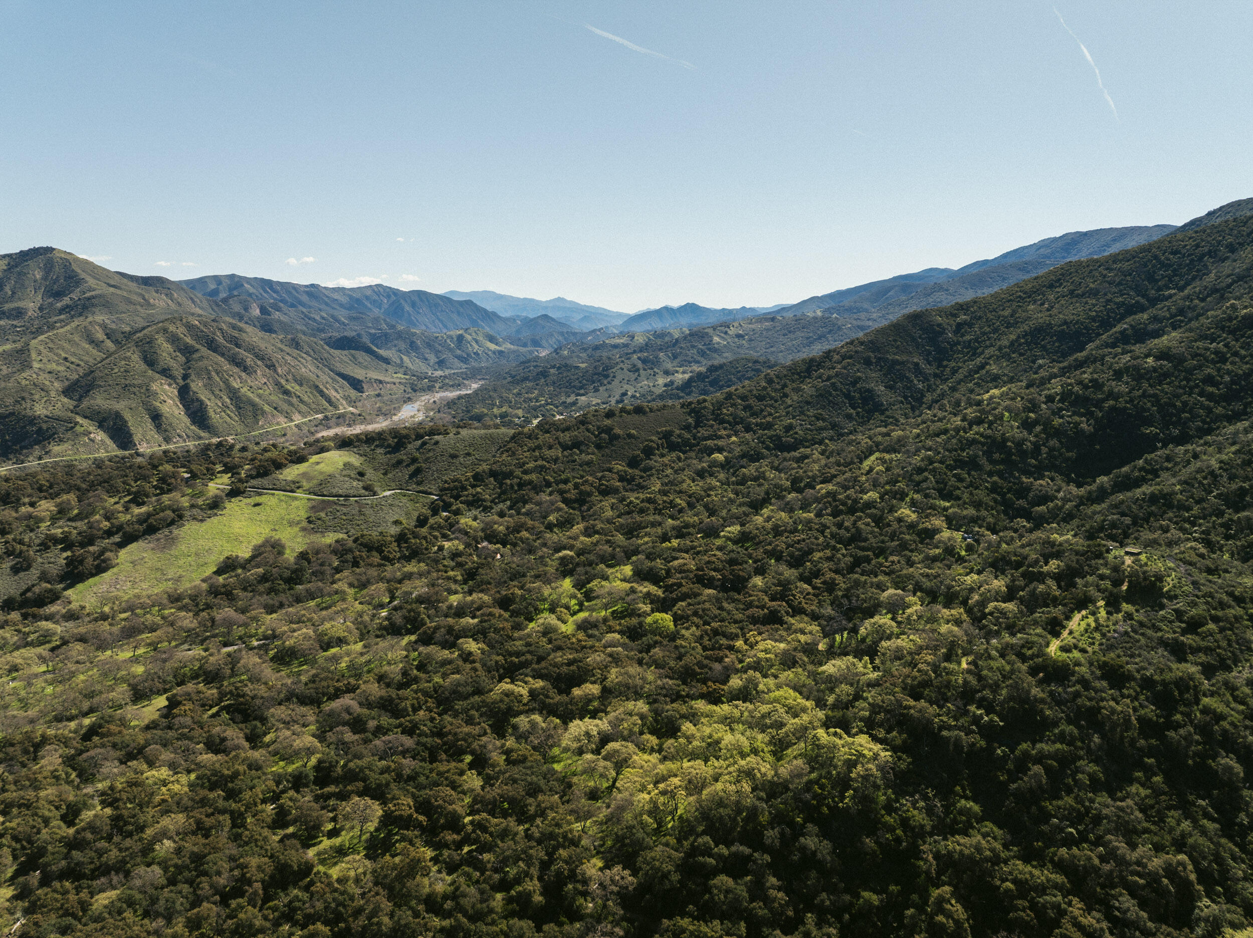 a view of a mountain in the distance in a field