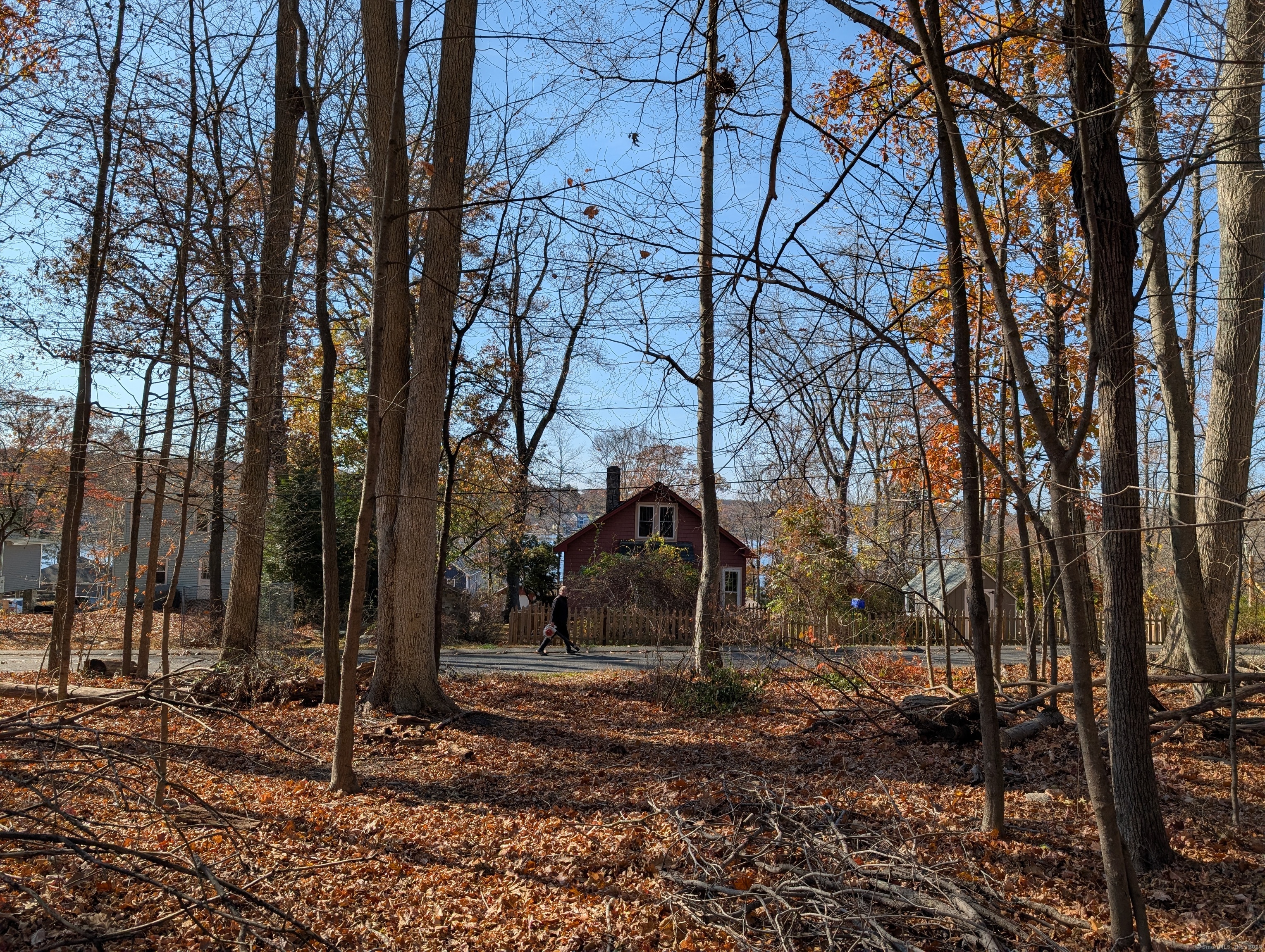 a view of a yard with trees