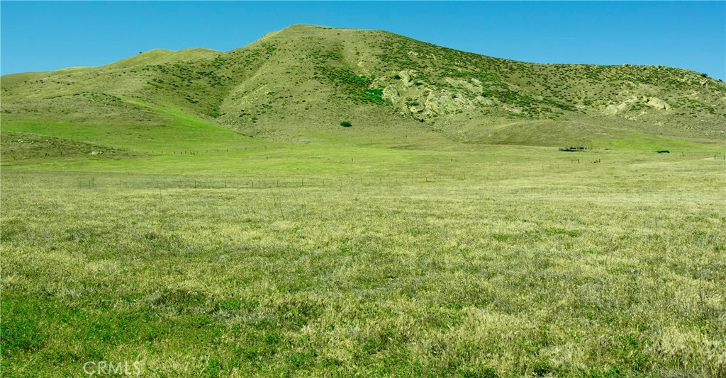 a large green field with lots of green space