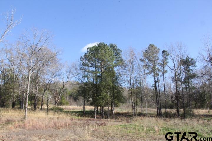 a view of backyard with green space