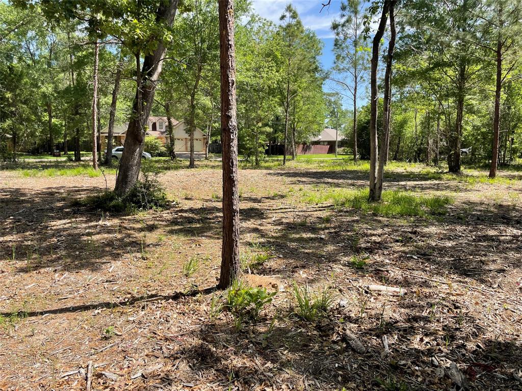 a view of a tree in the middle of a yard