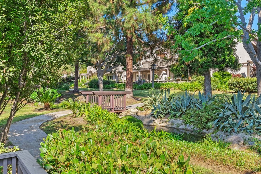 a view of a garden with plants