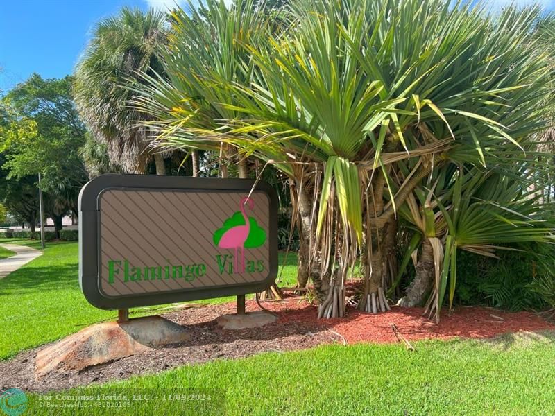 Welcome to Flamingo Villas