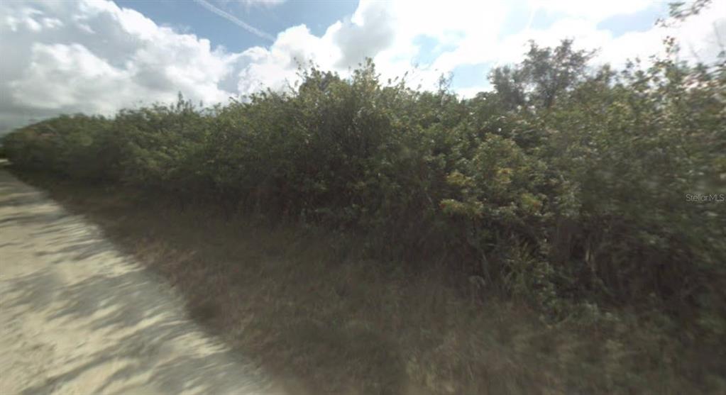 a view of a covered with trees in the background