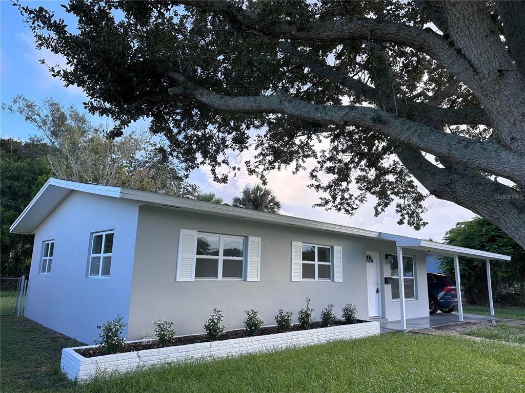 a house that has a tree in front of it