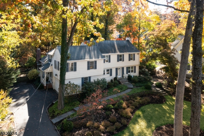 a house that has tree in front of it