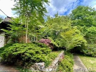 a view of a garden with plants