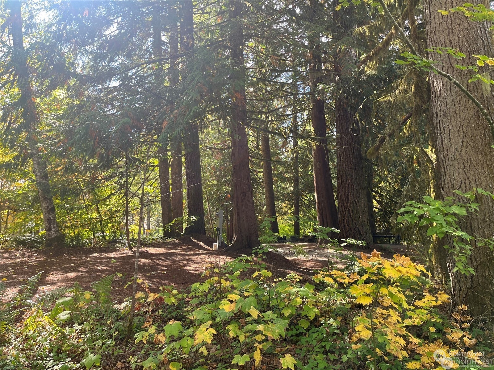 a view of outdoor space with trees