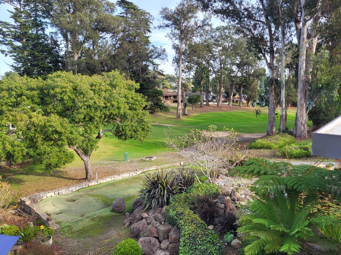 a view of a park with large trees