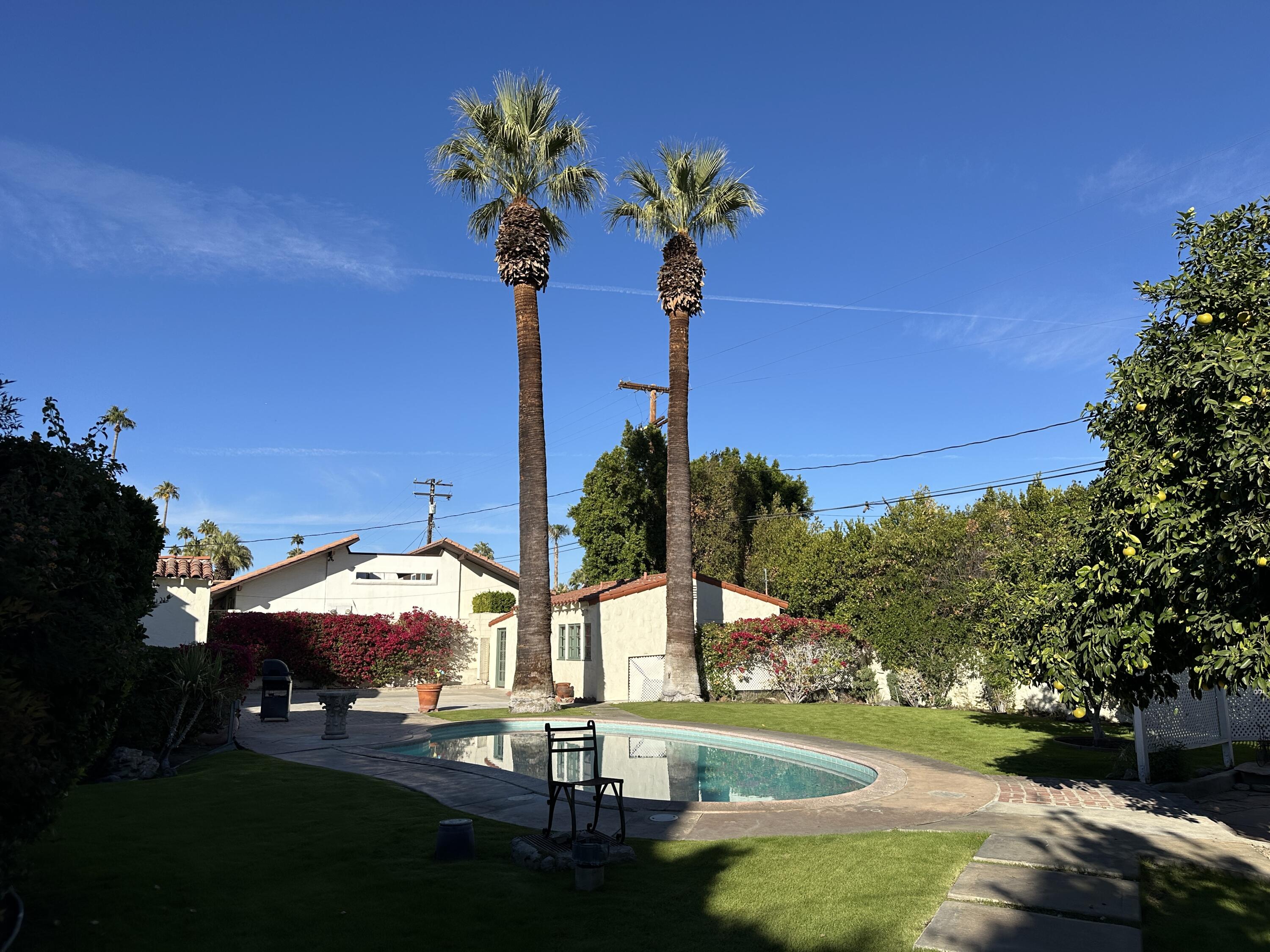 a view of a yard with a fountain