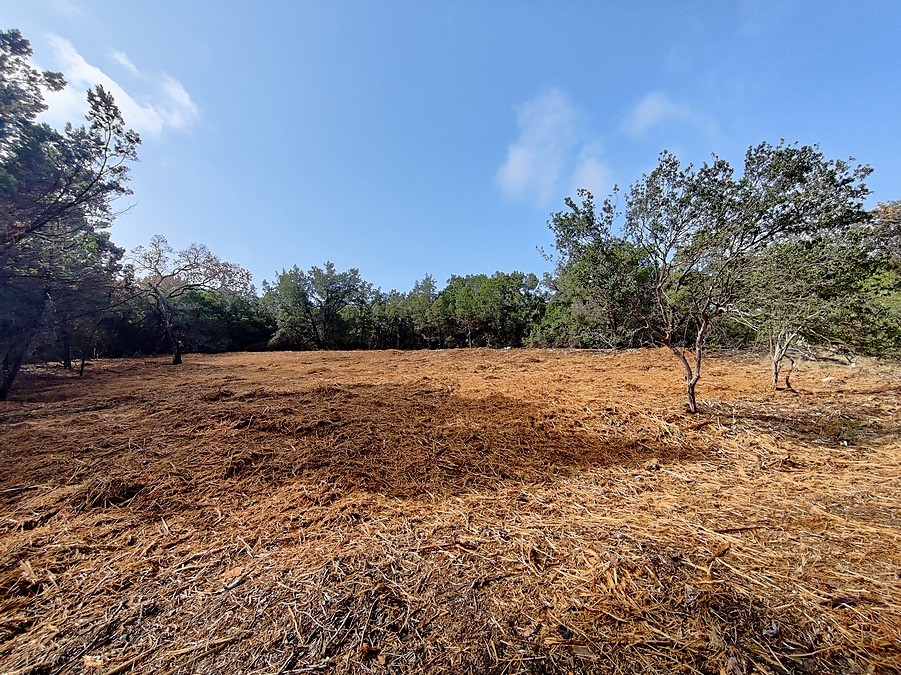 a view of a field with trees in the background