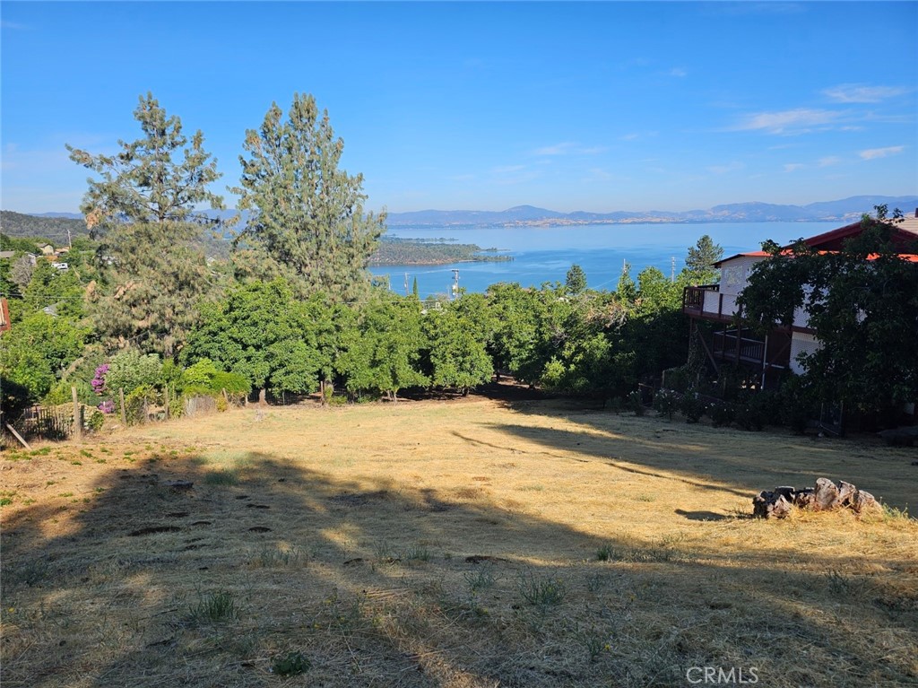 a view of a yard with a house