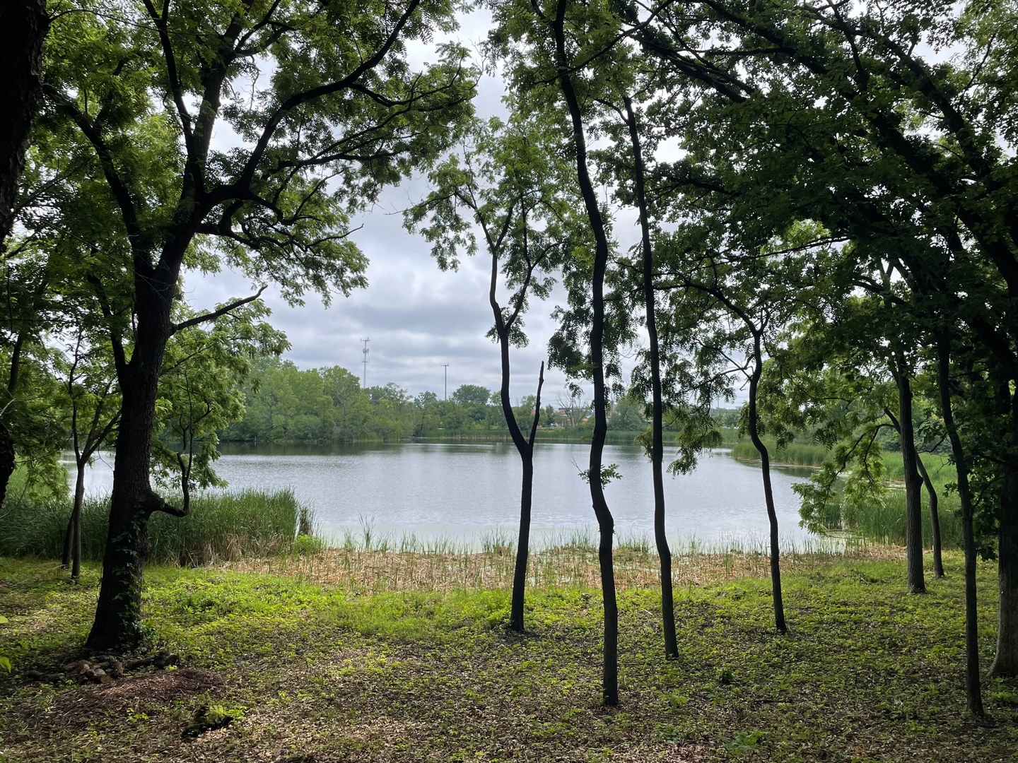 a view of lake with green space