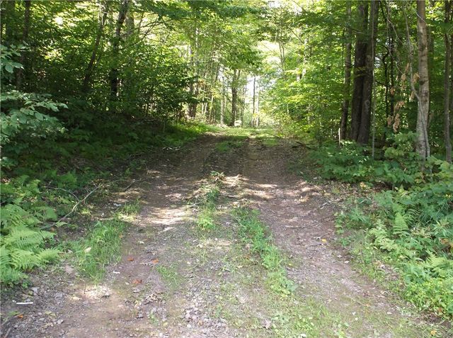 $54,900 | 0 Freer Hollow Road | Walton