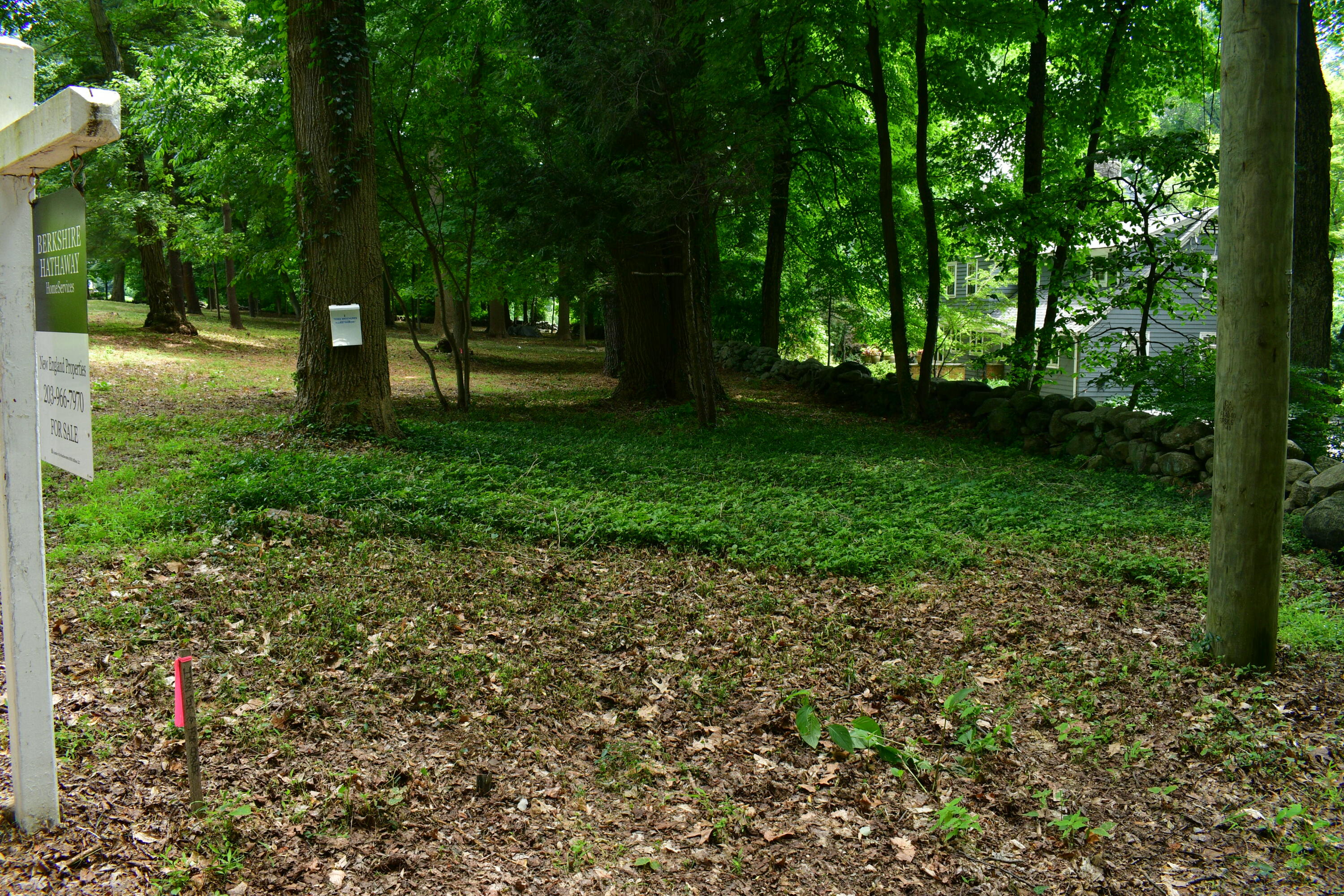 a view of park with trees