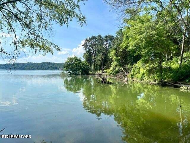 Gentle shoreline