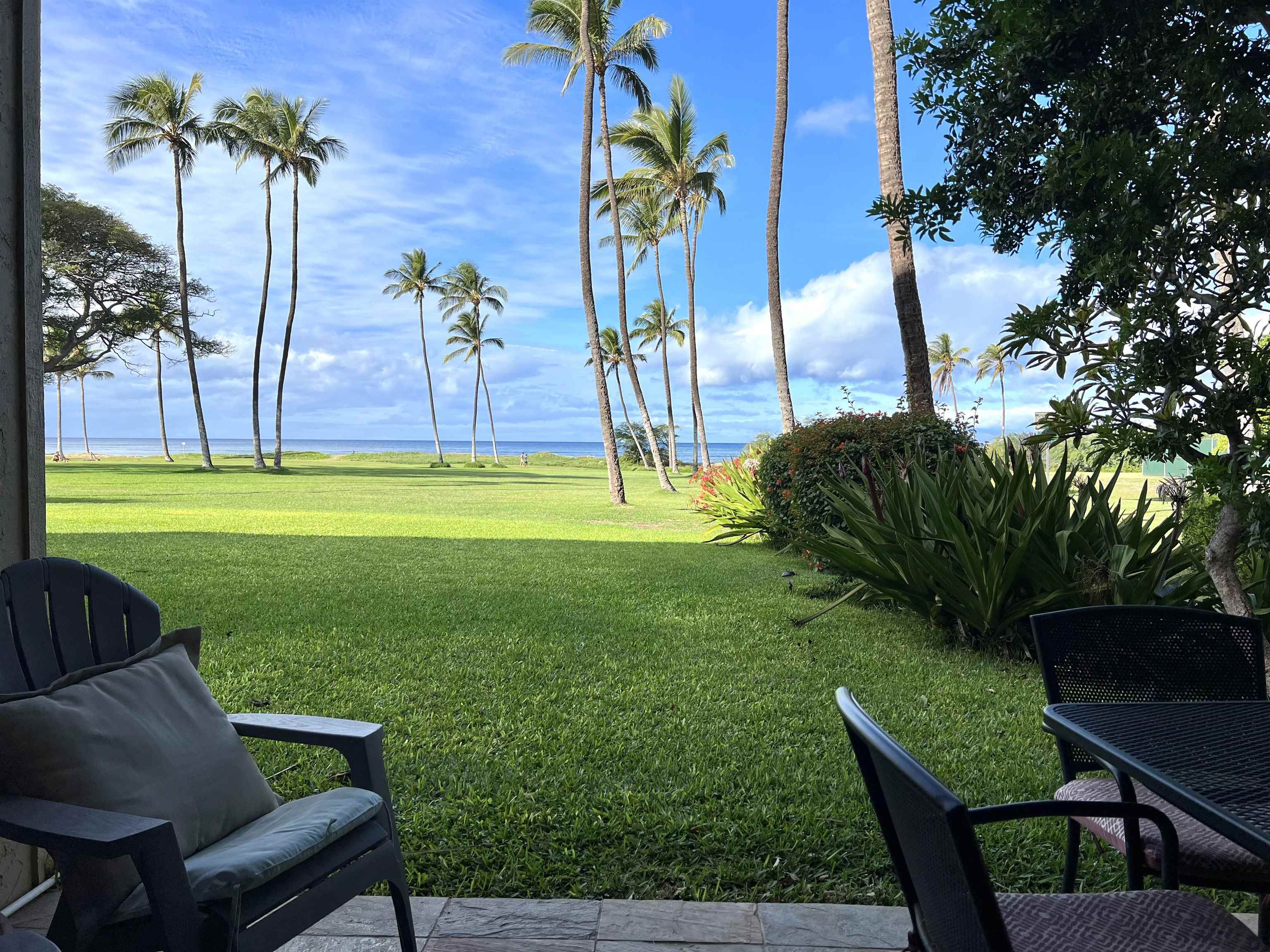 a view of a backyard with a patio