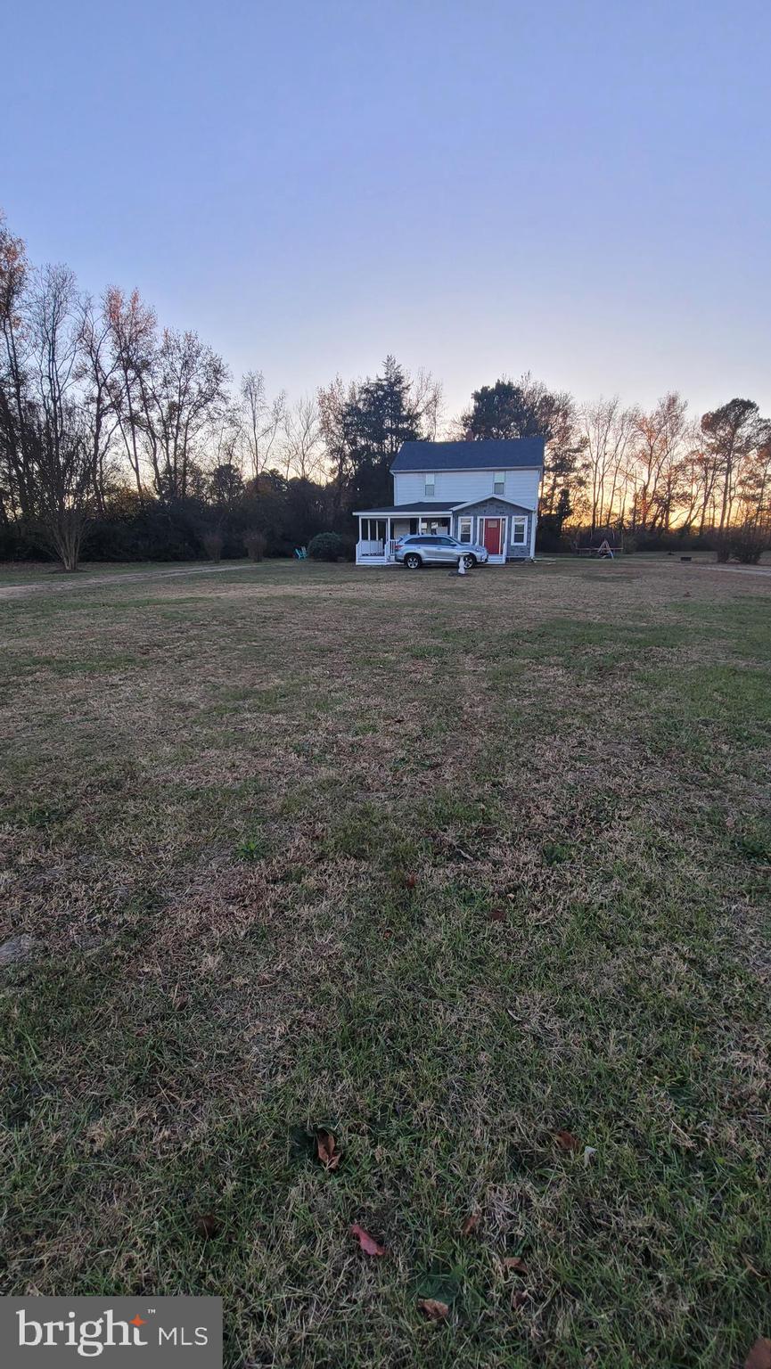 a view of a dry yard with trees in the background