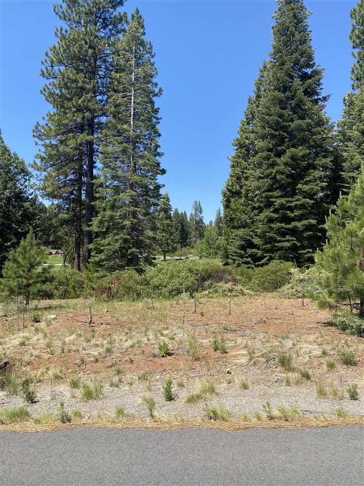 a view of a yard with trees