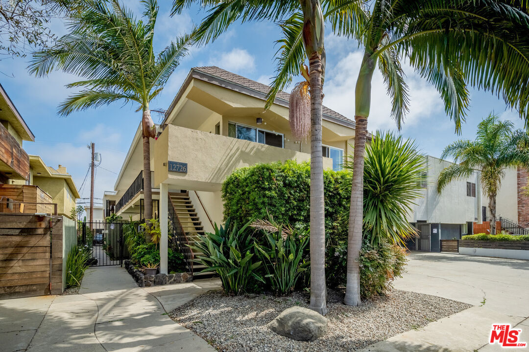 a view of a palm trees front of house