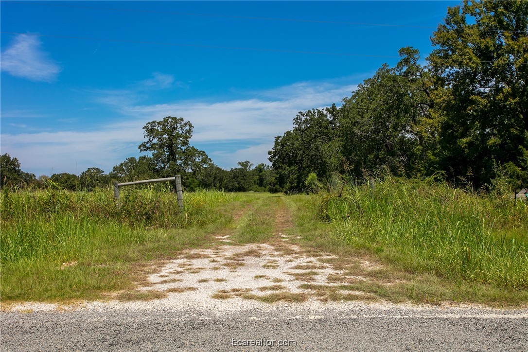 a view of a lake from a yard