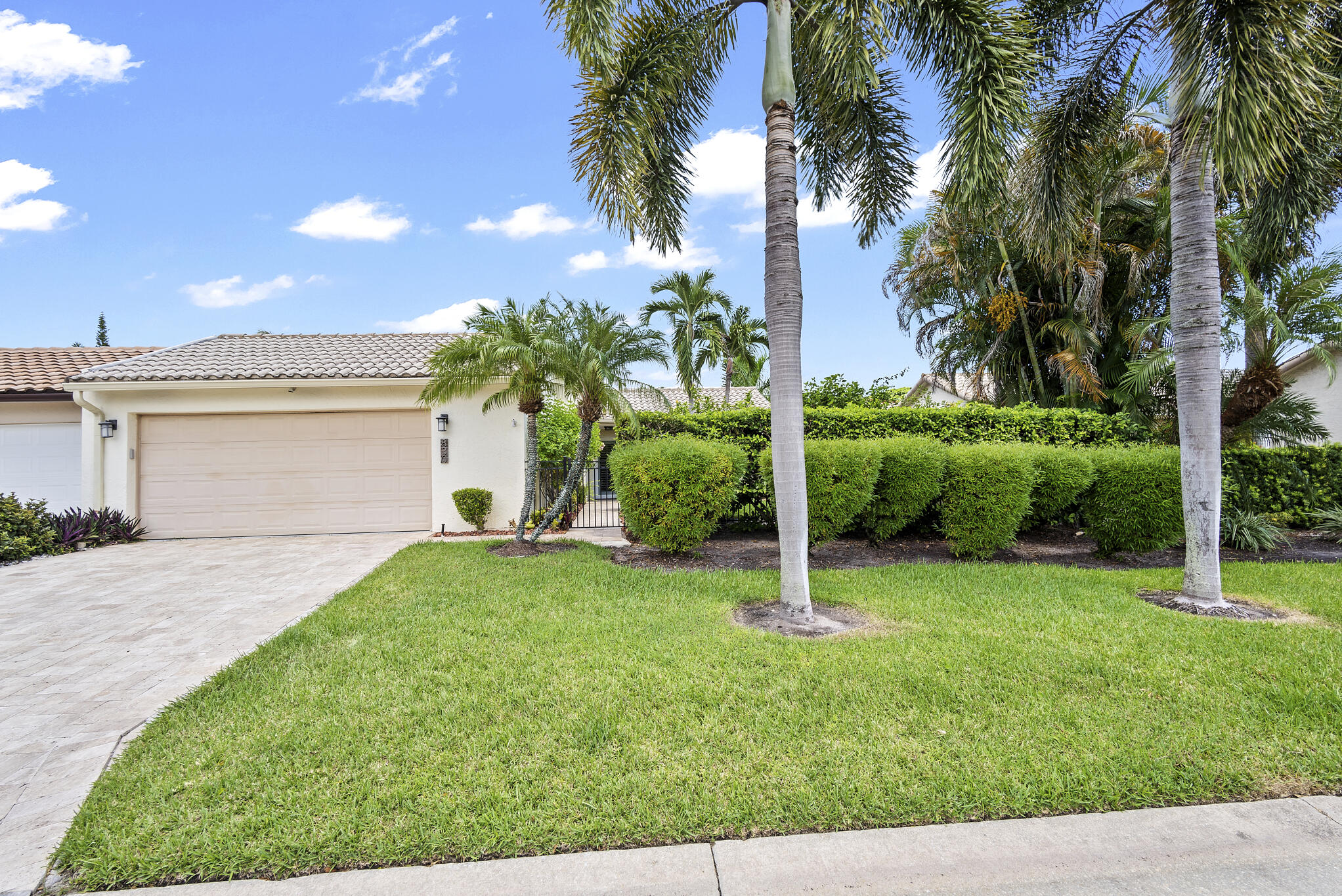 a view of a backyard with a plants and palm trees