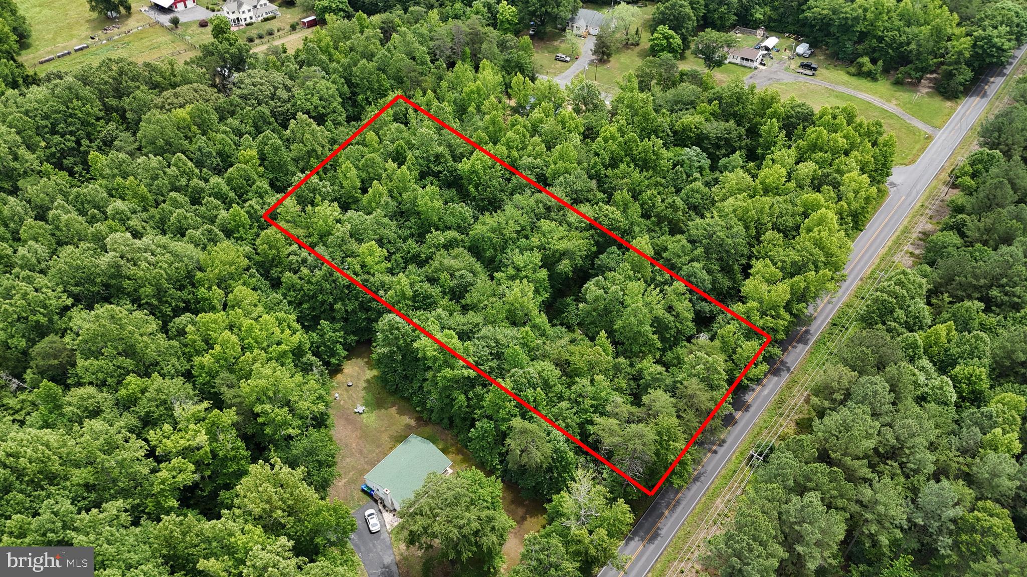 an aerial view of a forest with houses