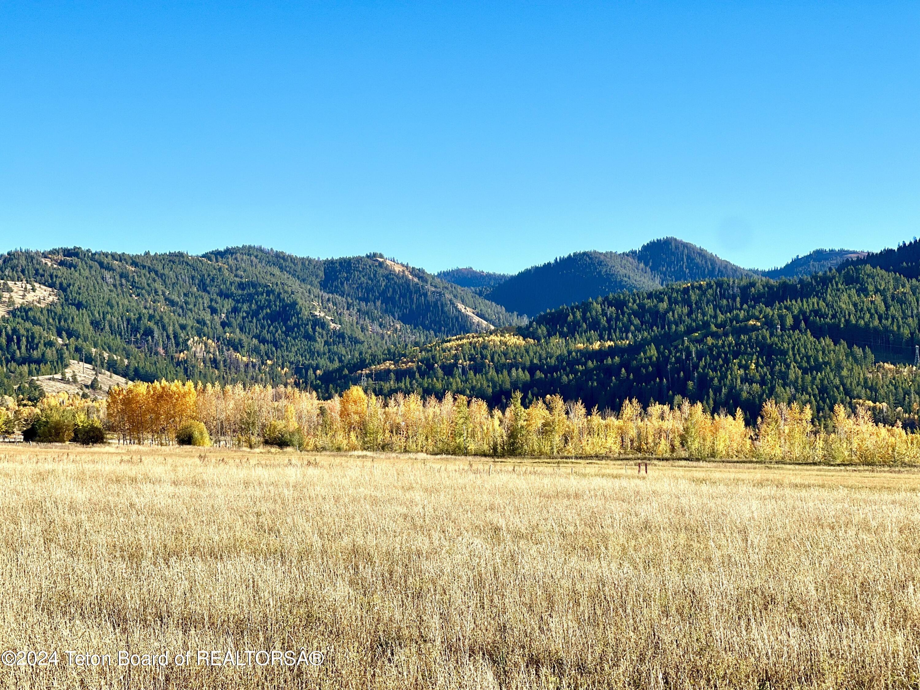 Canyon Wren Fall Photo1