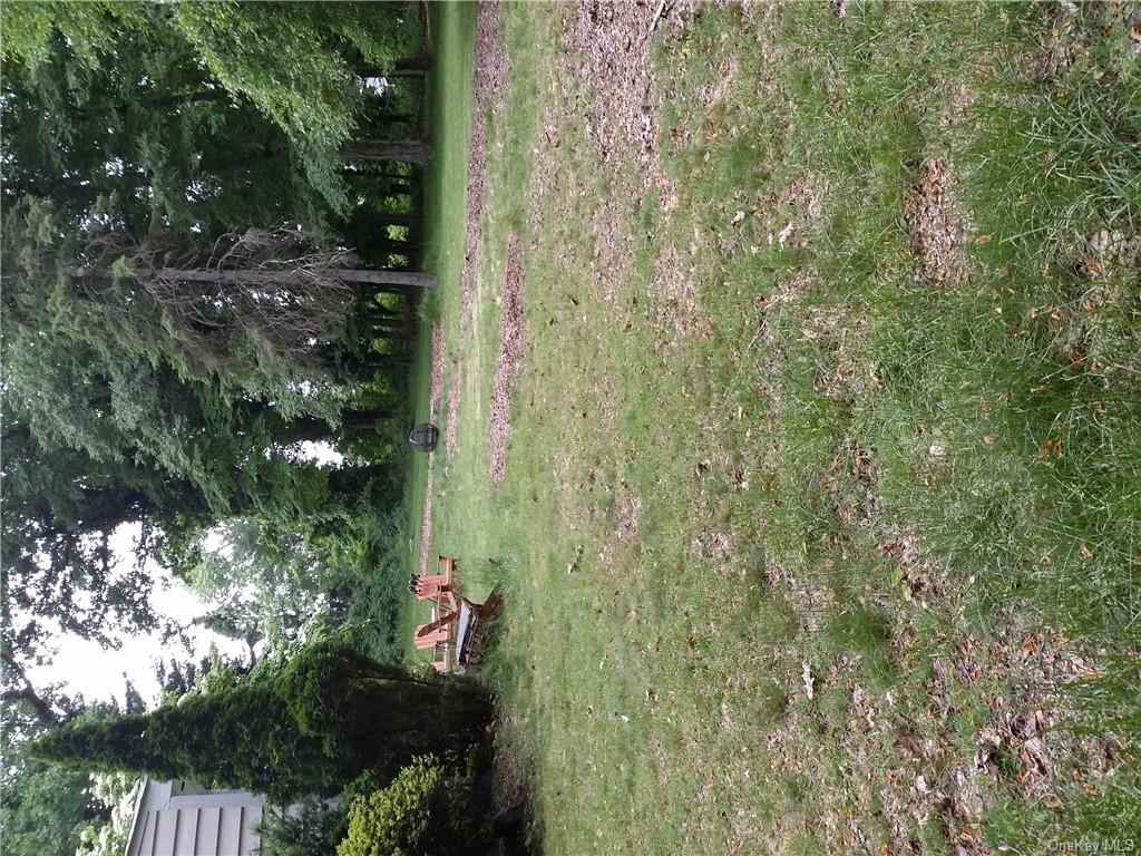 a backyard of a house with trees and plants