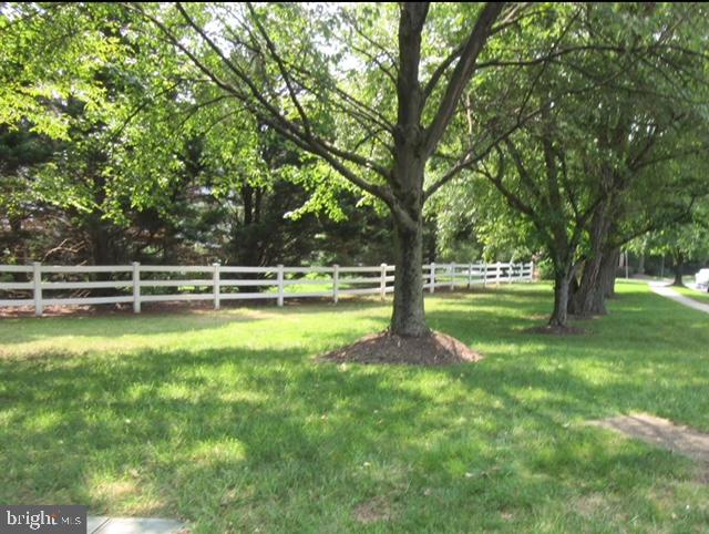 a view of park with trees