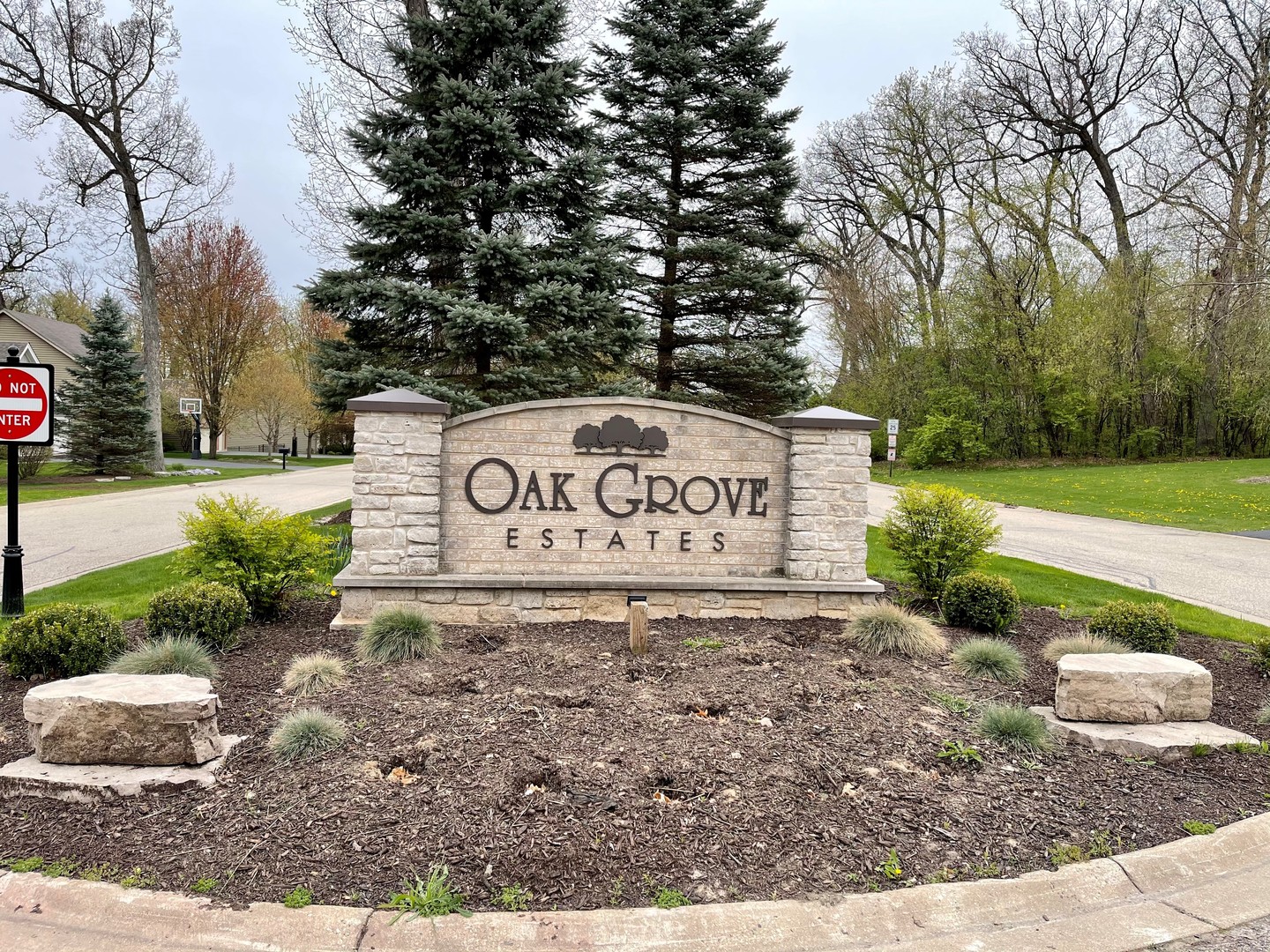 a view of a park with trees