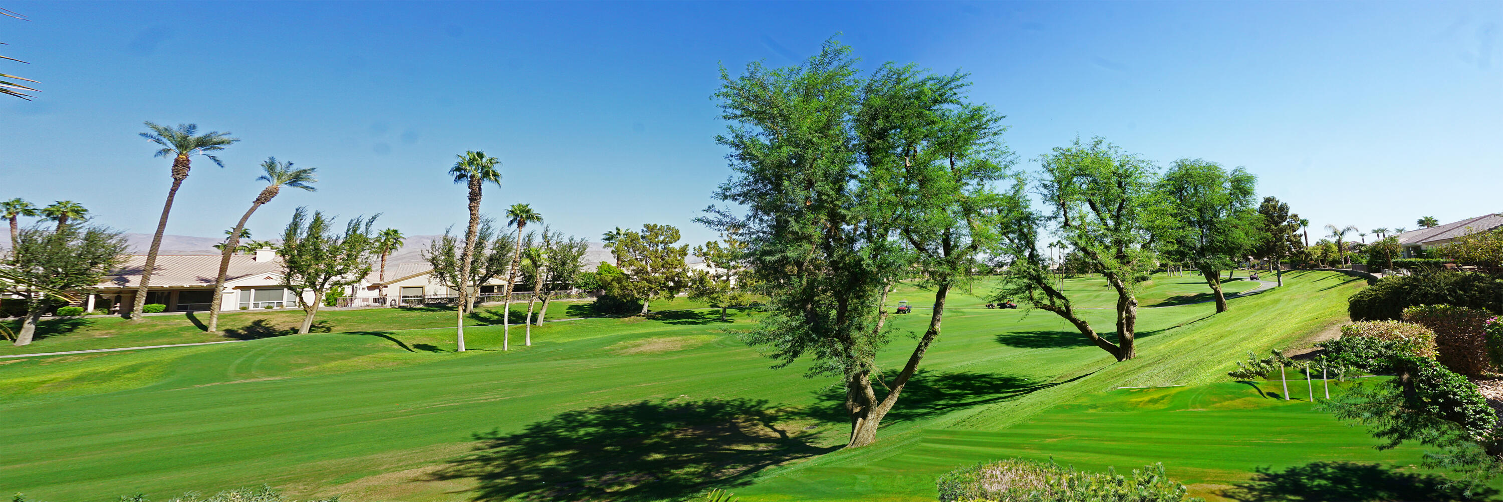 a view of a park