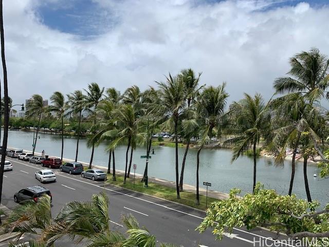 a row of palm trees