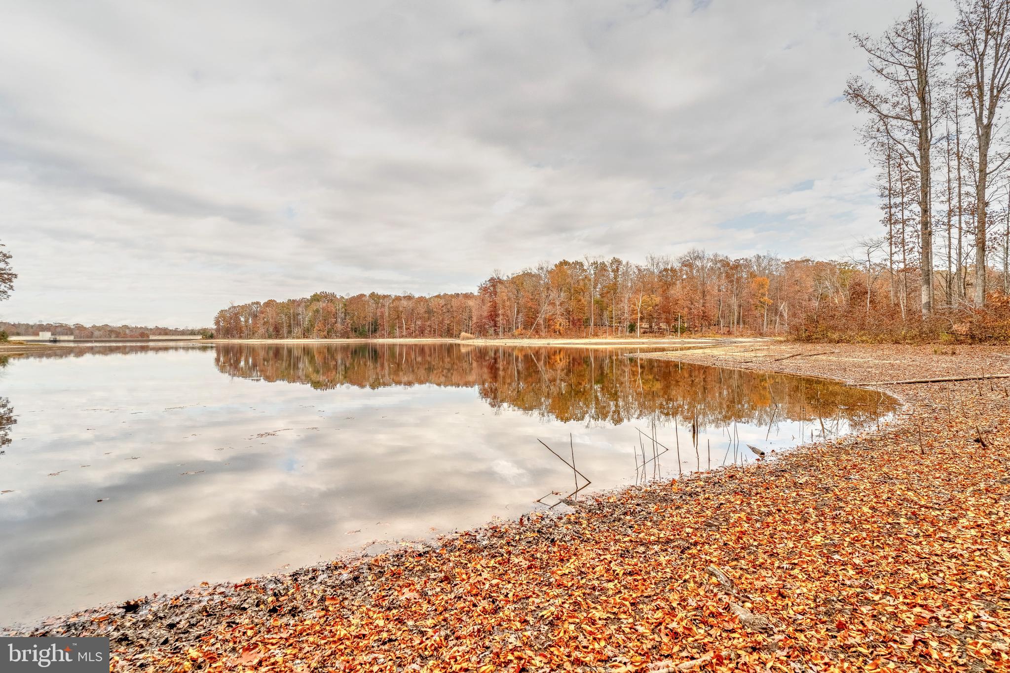 a view of a lake