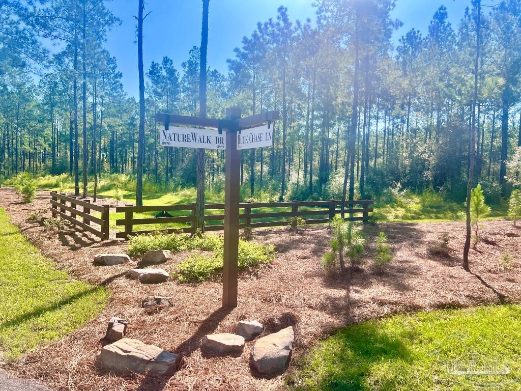 a view of a park with large trees