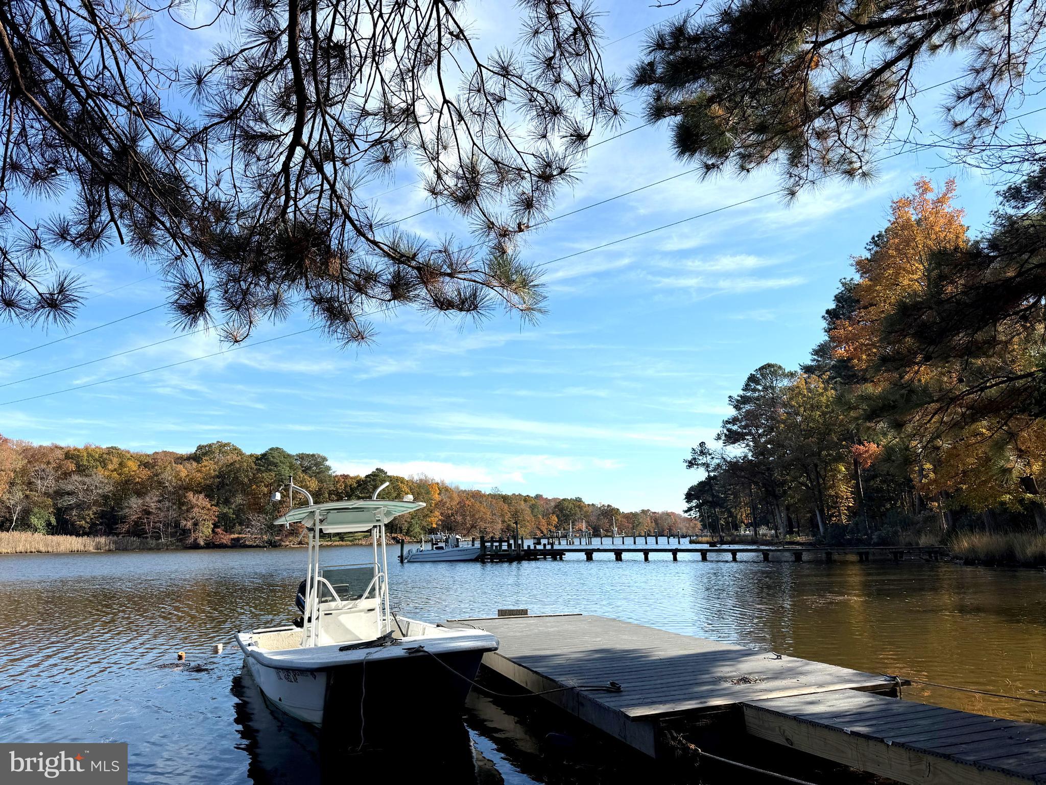 a view of a lake with a mountain in the background