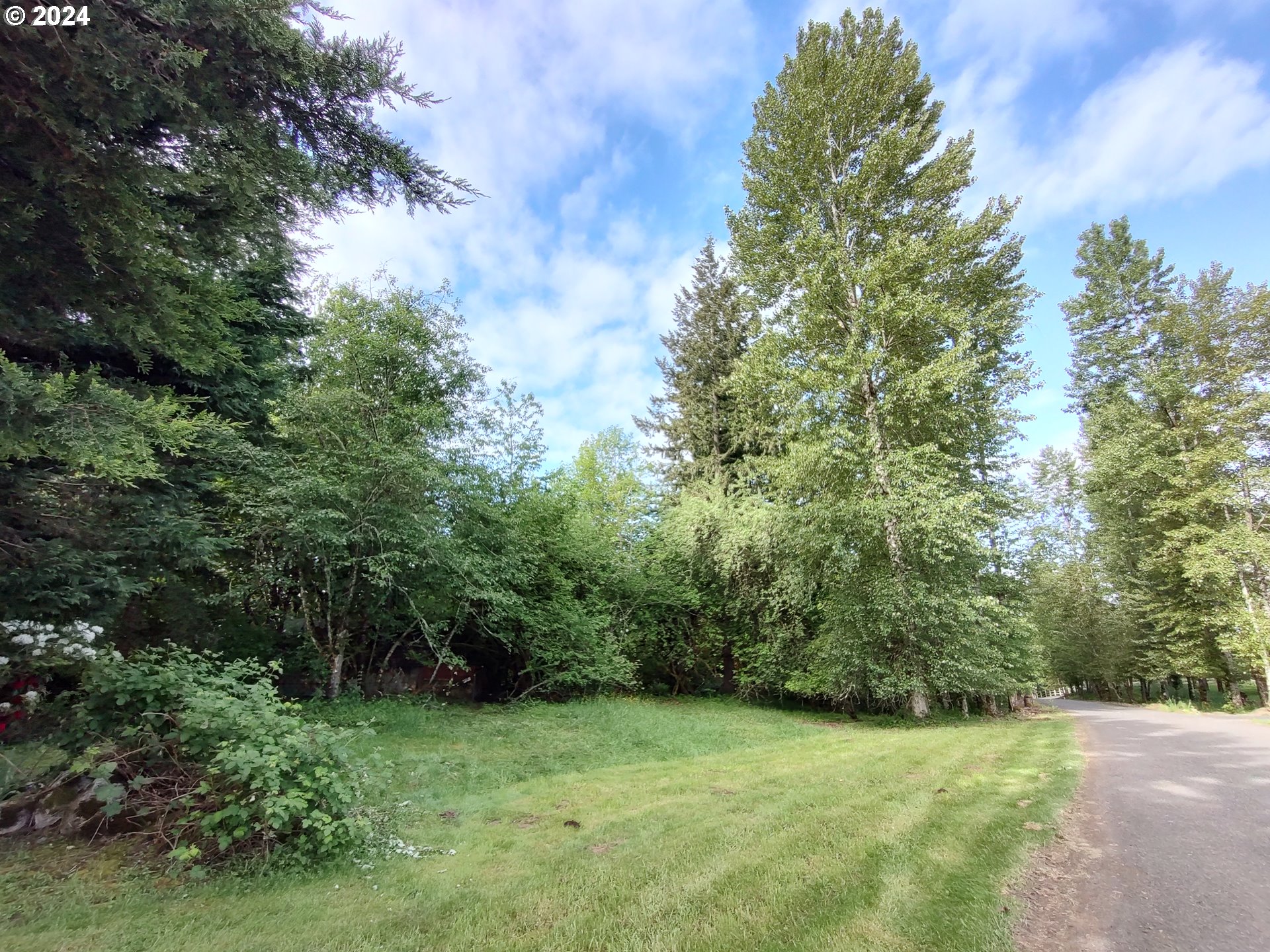 a view of an outdoor space and a yard