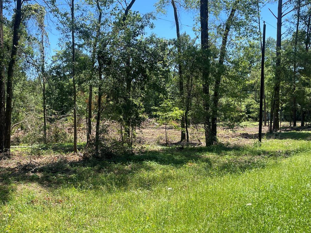 a view of backyard with green space