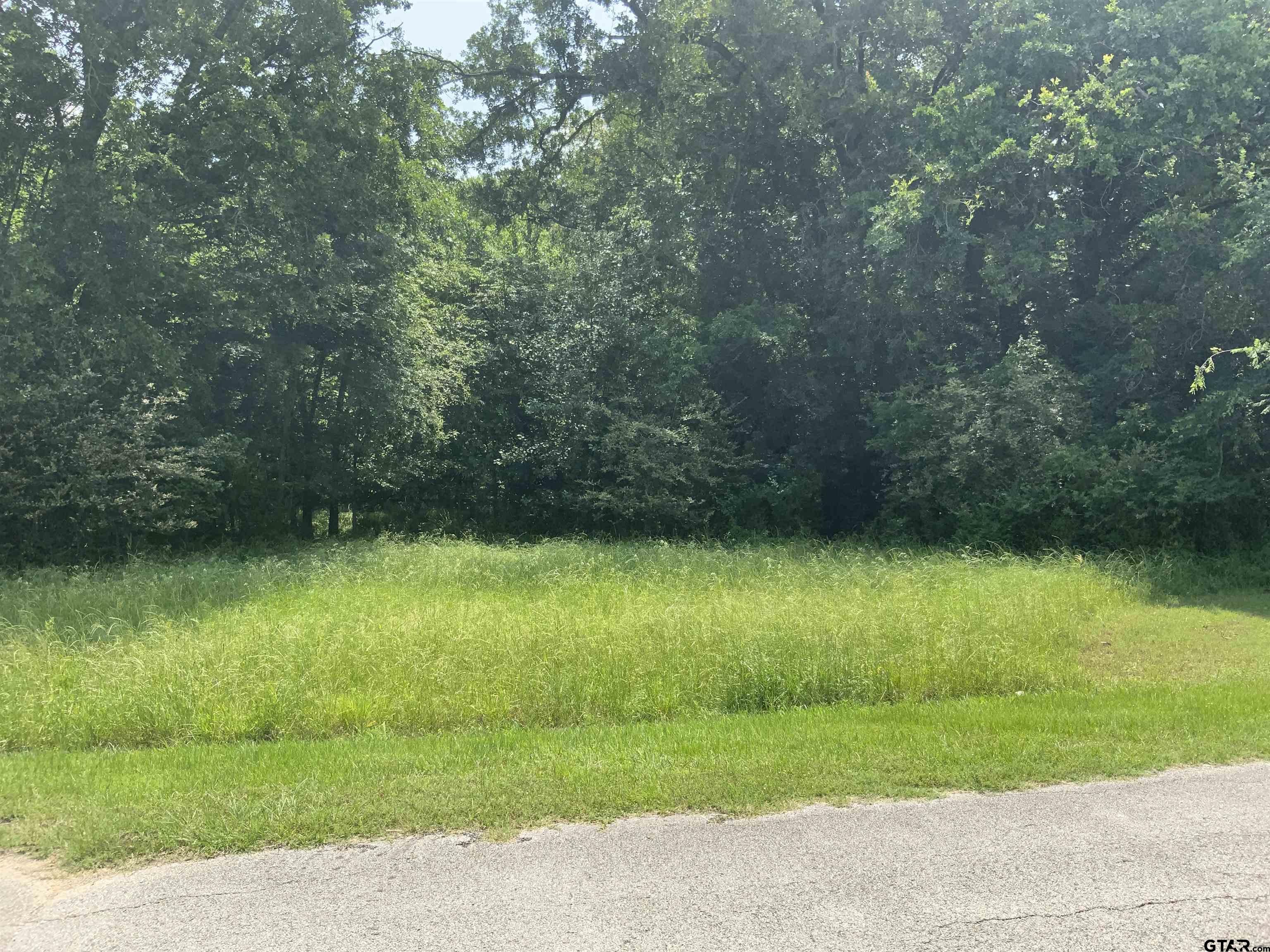 a view of a trees in a yard