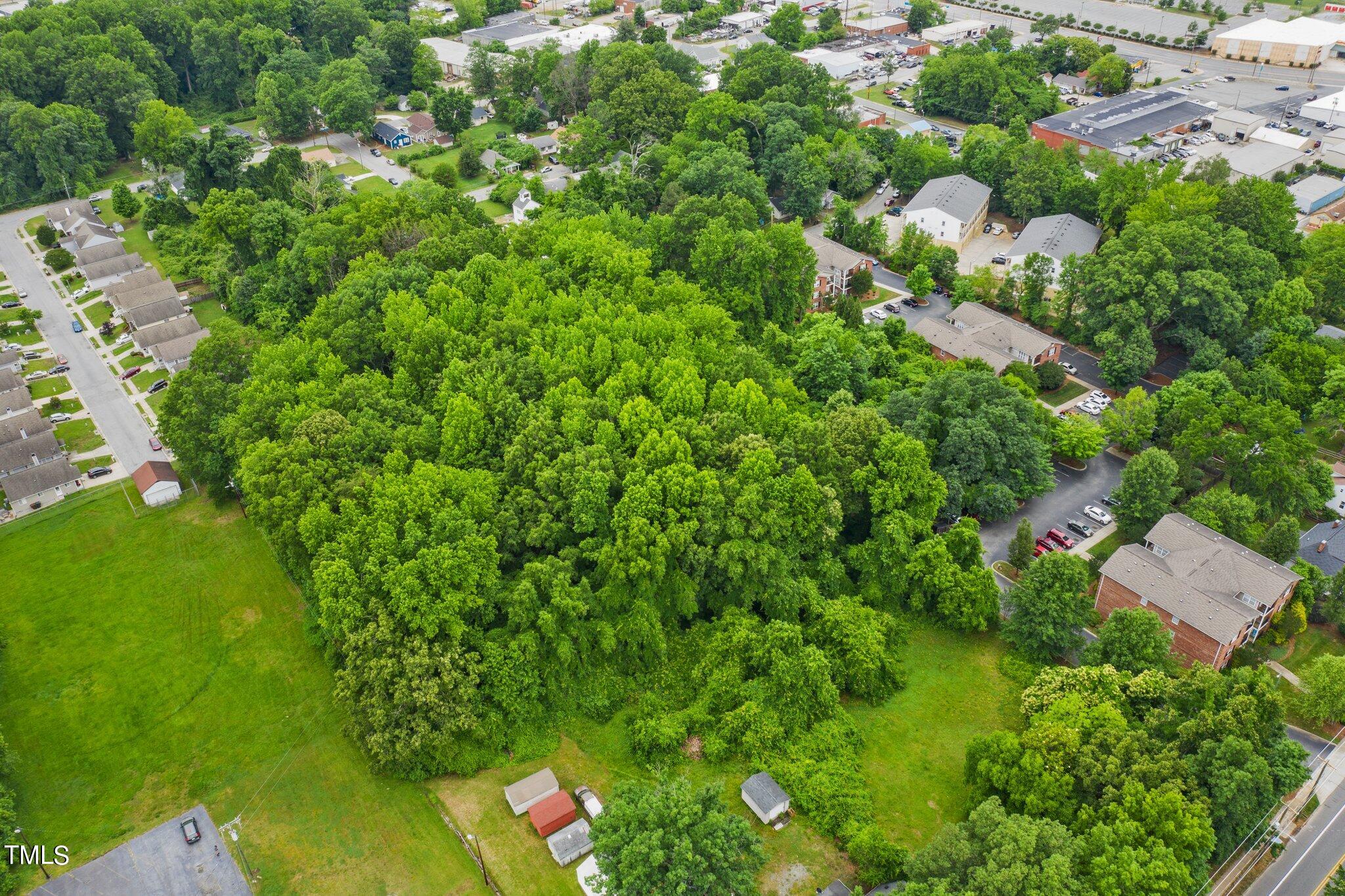 a view of a lush green forest