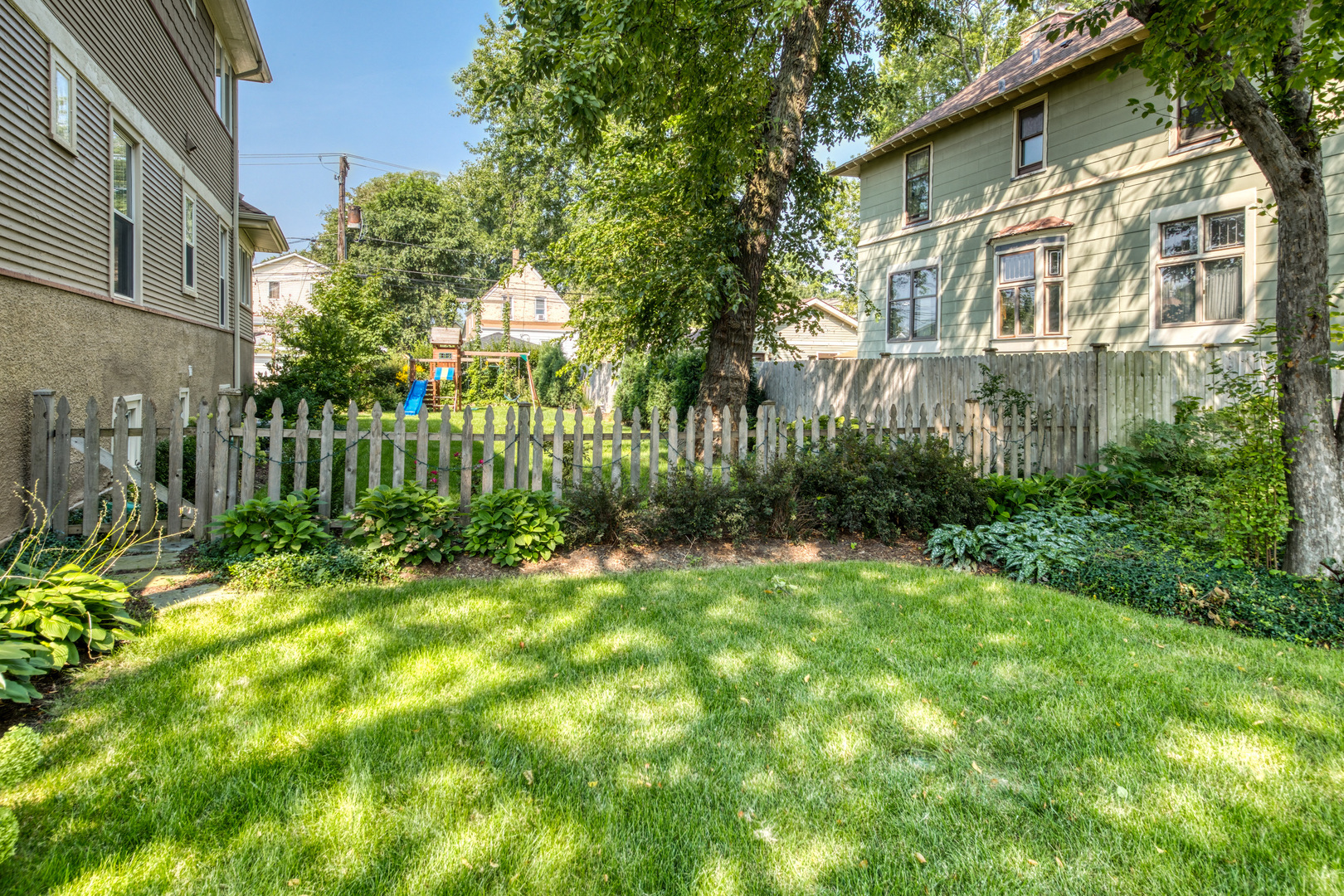 a view of a yard with plants and trees