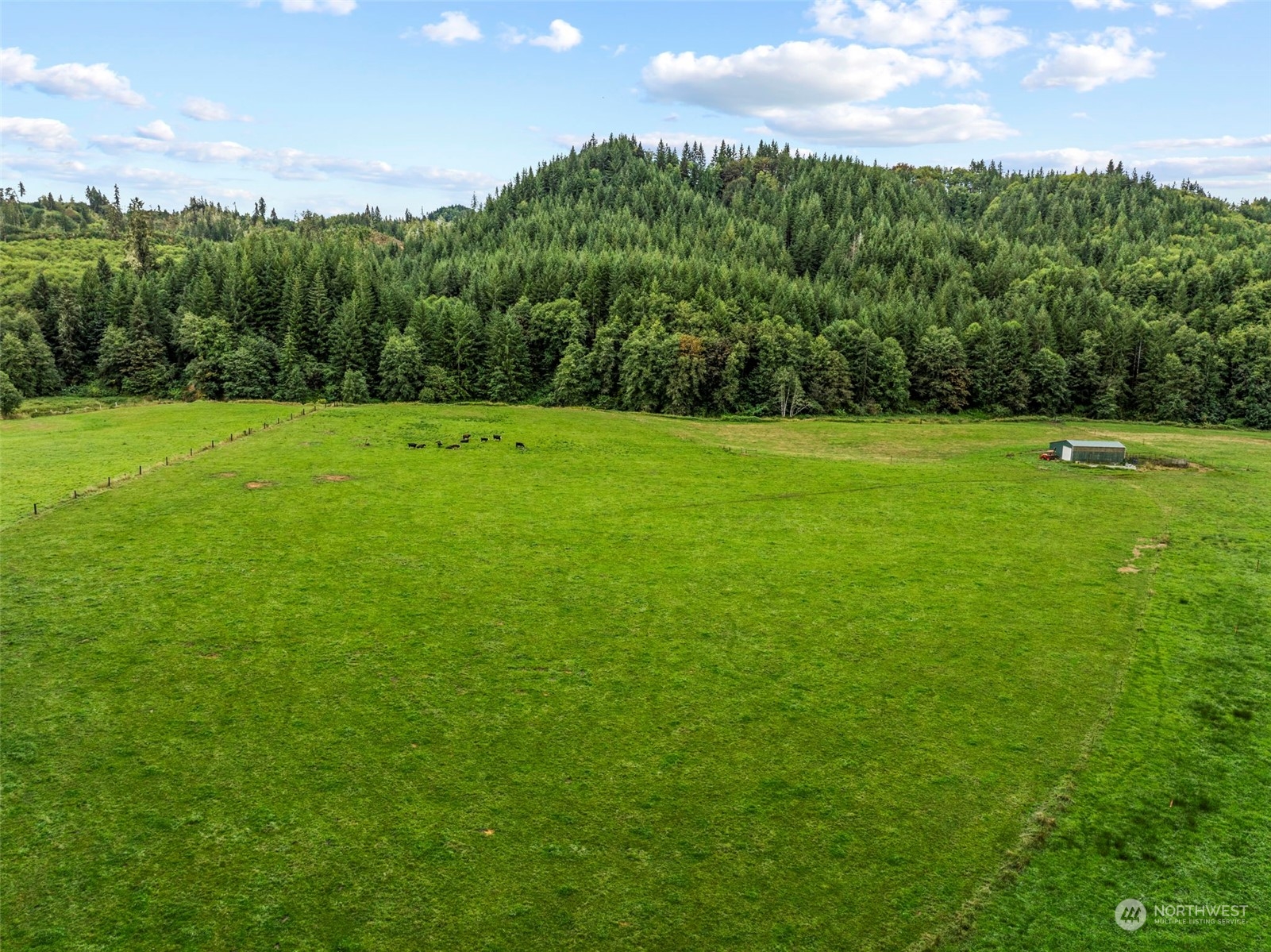 a view of field with trees in the background