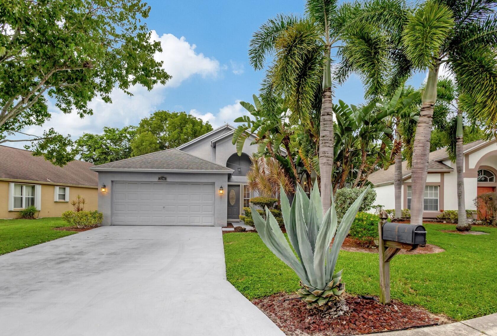 a view of a yard with plants and a large tree