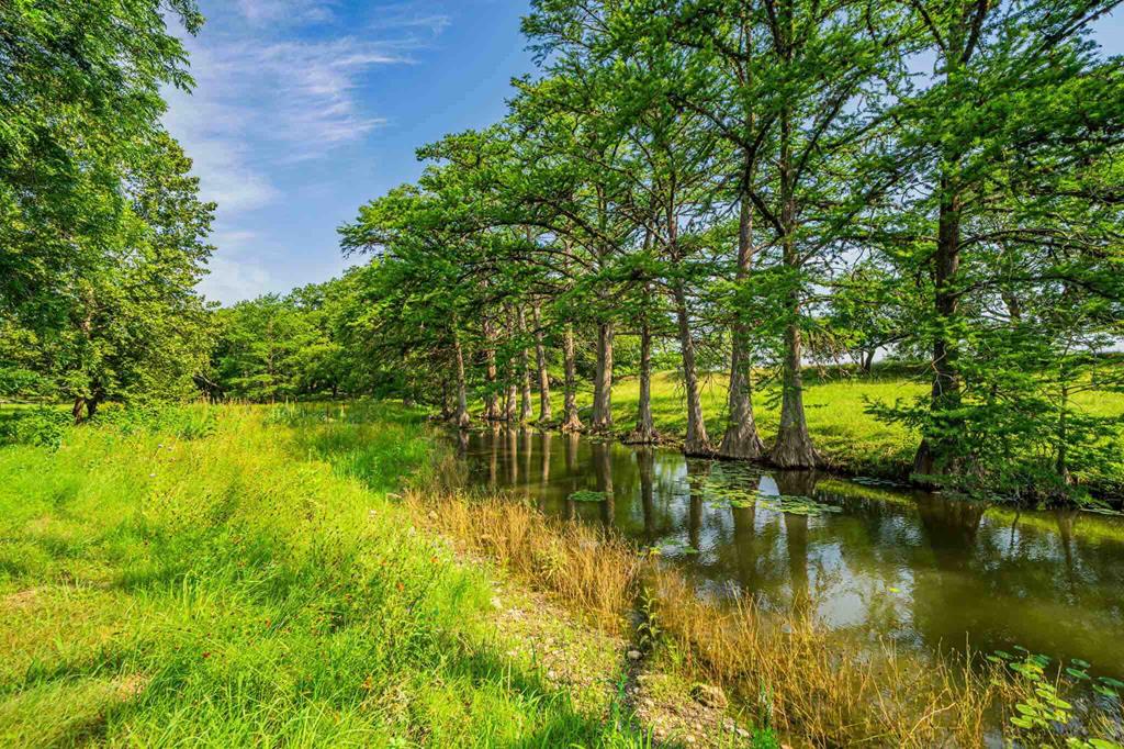 a view of lake with green space