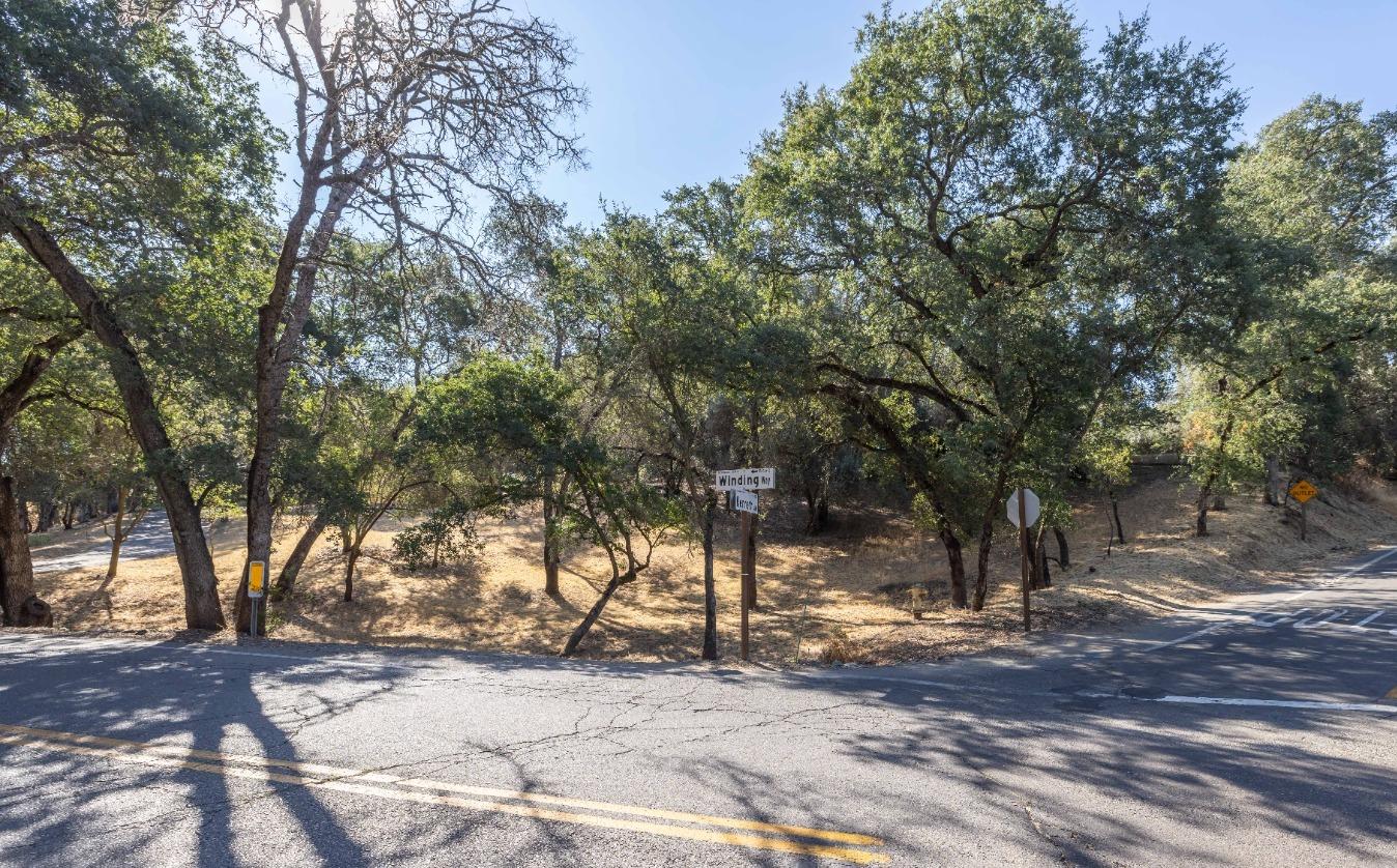 a view of a yard with a tree