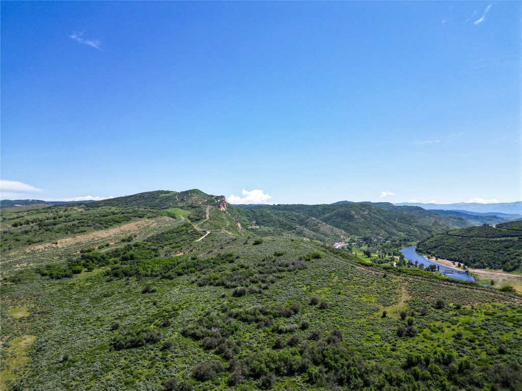 a view of a lush green forest with mountains in the background